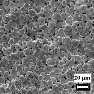 Micro estructura de polvo de carburo de tungsteno